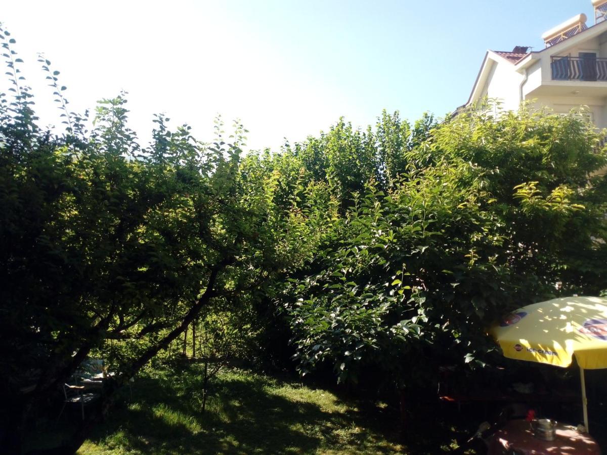 Vila Dudan Ohrid Exteriör bild